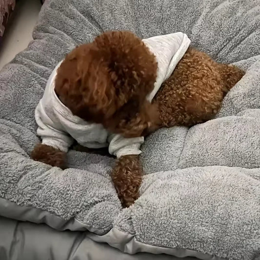 Cama XXL Súper Suave Perros